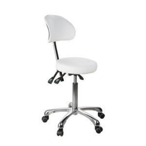 Premium medical stool with back support