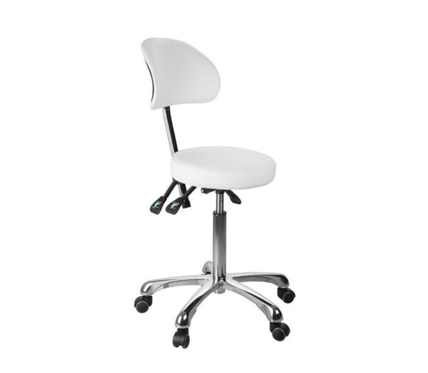 Premium medical stool with back support