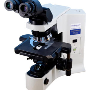 Olympus BX41 Microscope