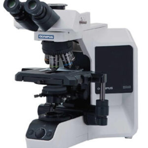 Olympus BX43 microscope