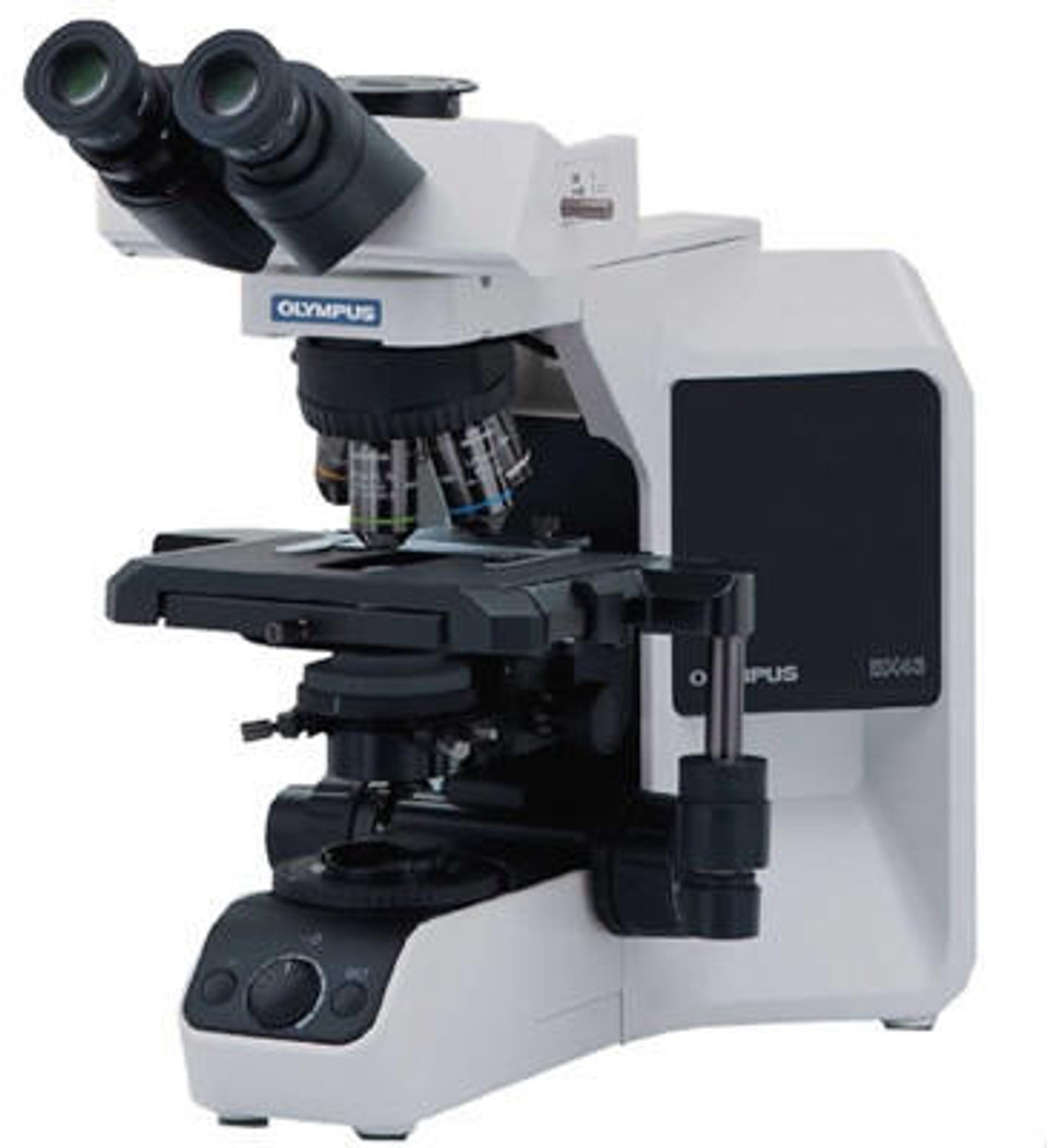 Olympus BX43 microscope