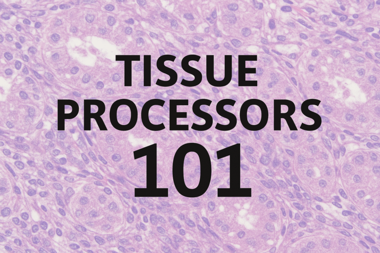 Tissue Processors in Histology: A Complete Beginner’s Guide - Amtech ...