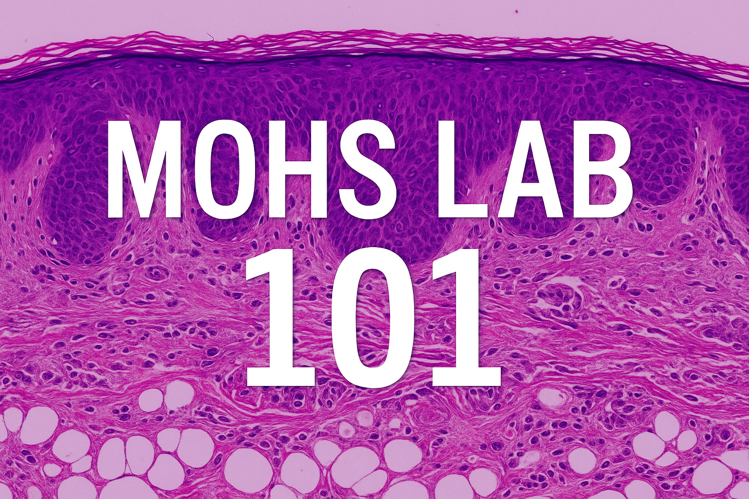 Microbiology lab tissue sample slide, histology, pathology, laboratory, cellular structure, scientific research, medical diagnostics, histopathology.