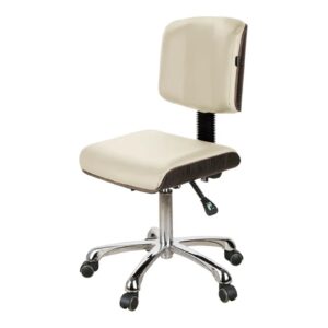 Silverfox 1071 Rolling Stool with Back Support
